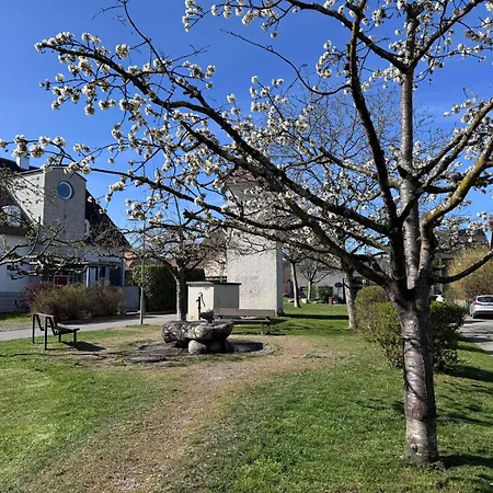 Seeglueck Seediamant - Moderne Maisonette-wohnung Mit Balkon Und Parkplatz In Seenaehe In Konstanz-dingels-dorf 公寓 *