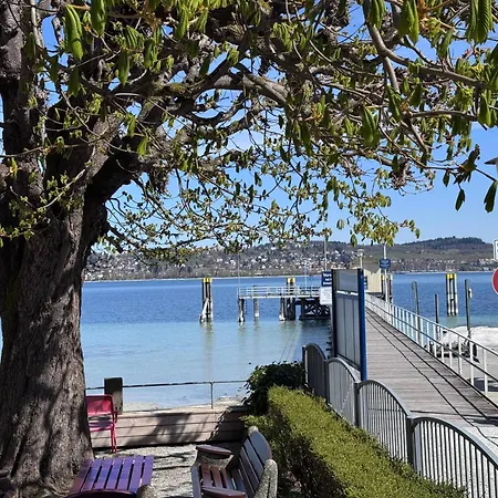 公寓 Seeglueck Seediamant - Moderne Maisonette-wohnung Mit Balkon Und Parkplatz In Seenaehe In Konstanz-dingels-dorf *